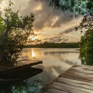Yaxchen & Cenote , Tulum México